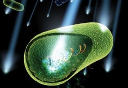 Water is disinfected as it runs through a stainless steel chamber that contains a UV-producing lamp.